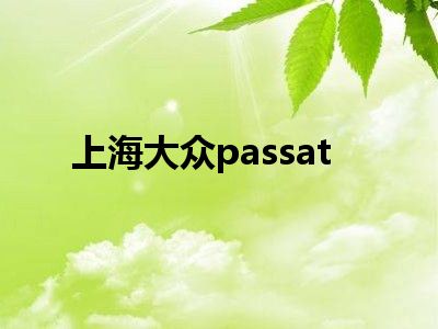 上海大众passat