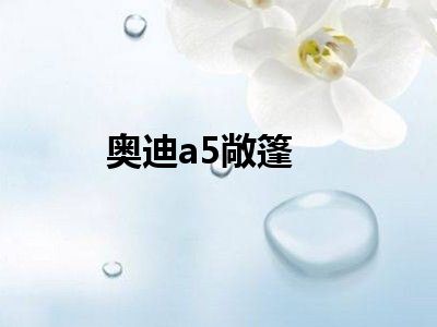 奥迪a5敞篷