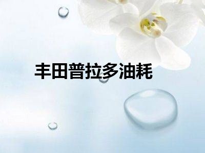 丰田普拉多油耗