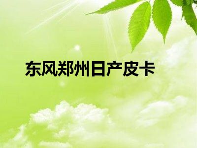东风郑州日产皮卡