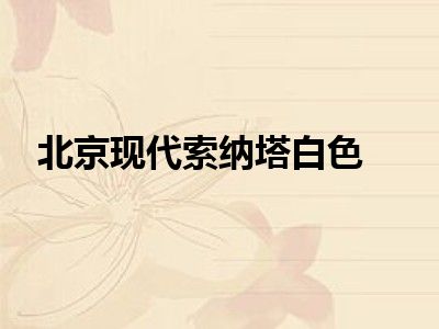 北京现代索纳塔白色