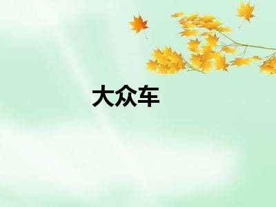 大众车