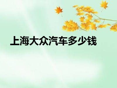 上海大众汽车多少钱