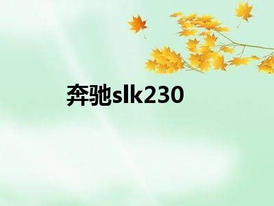 奔驰slk230