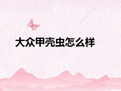 大众甲壳虫怎么样