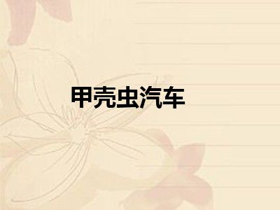 甲壳虫汽车