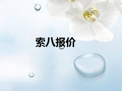 索八报价