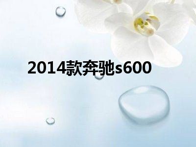 2014款奔驰s600