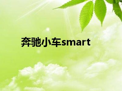 奔驰小车smart