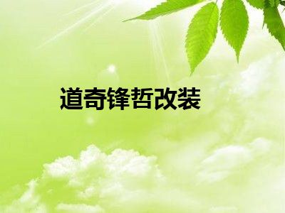 道奇锋哲改装