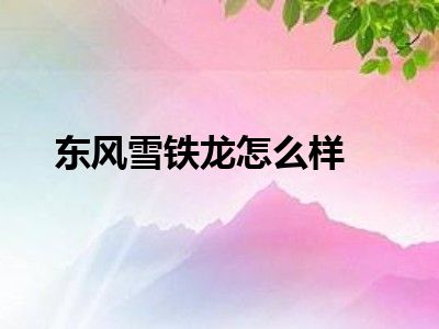 东风雪铁龙怎么样