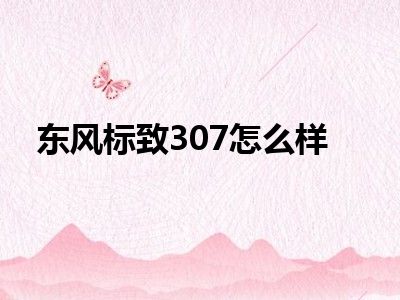 东风标致307怎么样