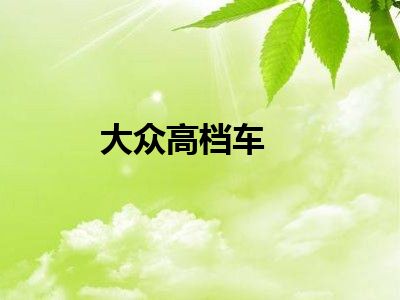 大众高档车