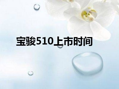 宝骏510上市时间
