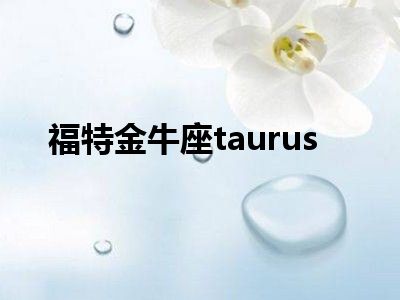 福特金牛座taurus