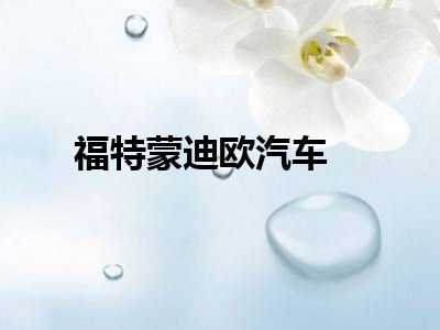 福特蒙迪欧汽车