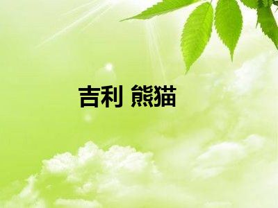 吉利 熊猫