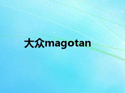 大众magotan