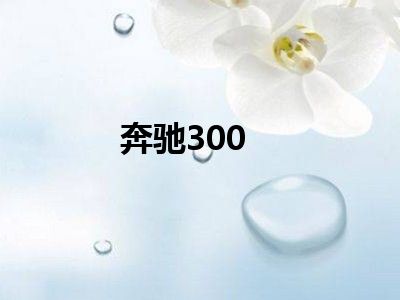 奔驰300