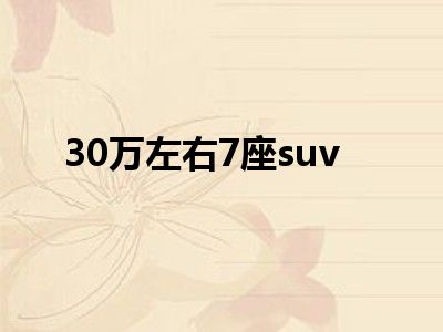 30万左右7座suv
