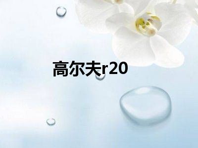 高尔夫r20