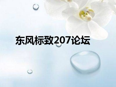 东风标致207论坛