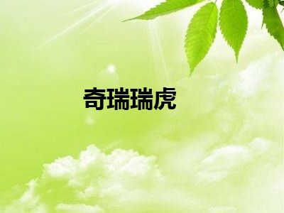 奇瑞瑞虎