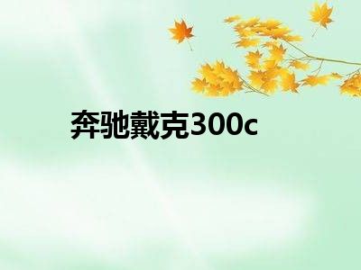 奔驰戴克300c