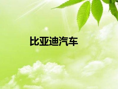 比亚迪汽车