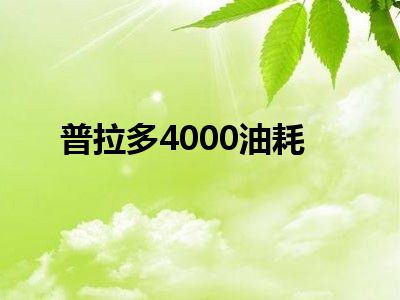 普拉多4000油耗