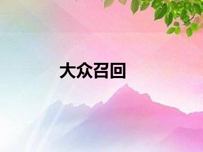 大众召回