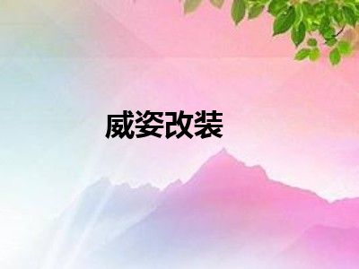 威姿改装