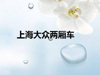 上海大众两厢车