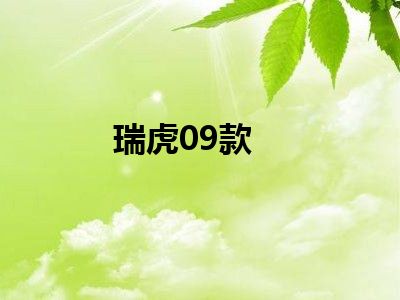 瑞虎09款