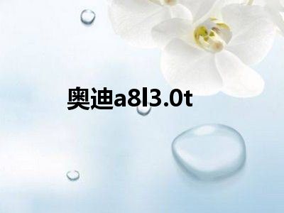 奥迪a8l3.0t