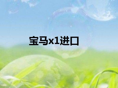 宝马x1进口