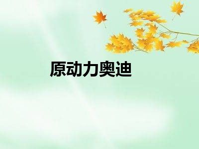 原动力奥迪