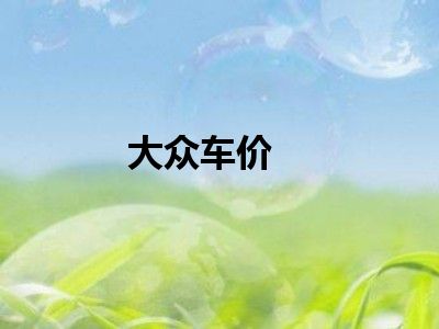 大众车价