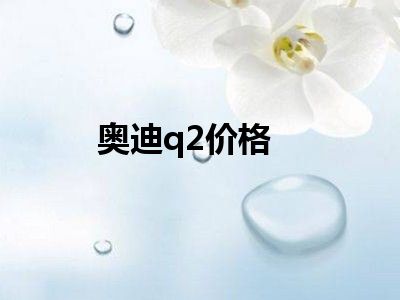 奥迪q2价格