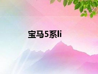 宝马5系li