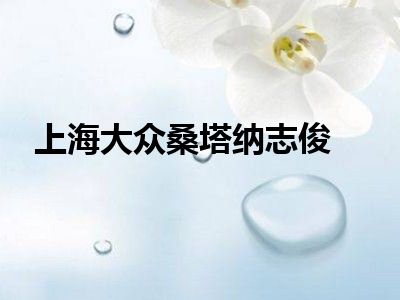 上海大众桑塔纳志俊