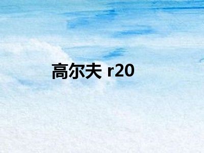 高尔夫 r20