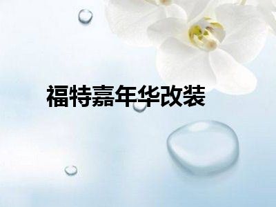 福特嘉年华改装