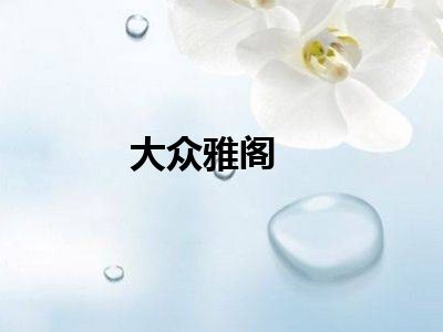 大众雅阁