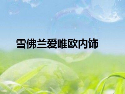 雪佛兰爱唯欧内饰