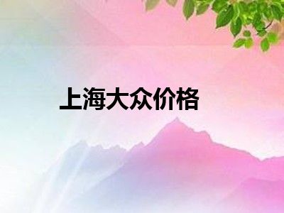上海大众价格