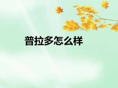 普拉多怎么样