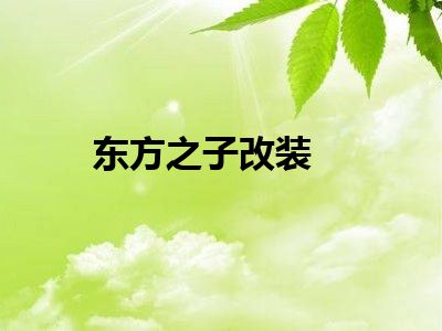 东方之子改装