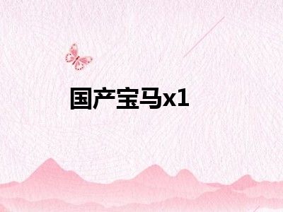 国产宝马x1