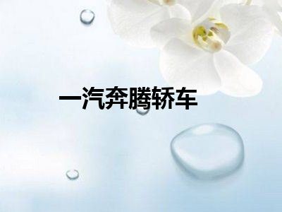 一汽奔腾轿车